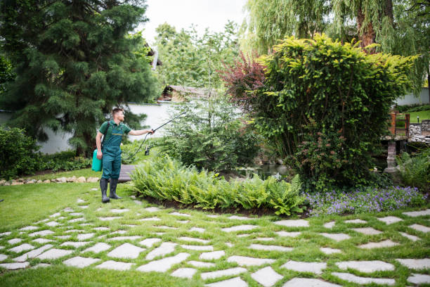 Best Mosquito Control Services  in Sidney, IL