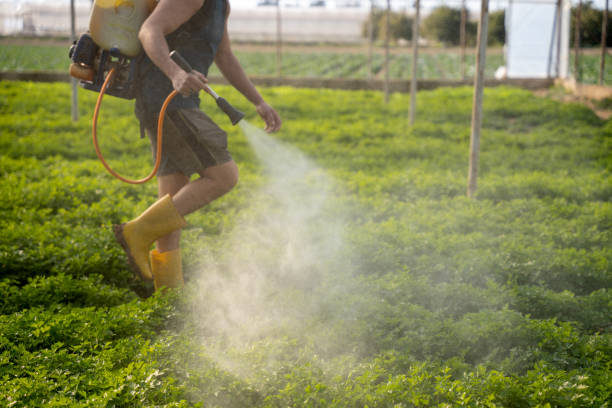 Best Wildlife Control Services  in Sidney, IL