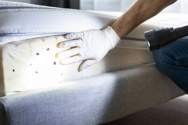 Best Emergency Pest Control  in Sidney, IL