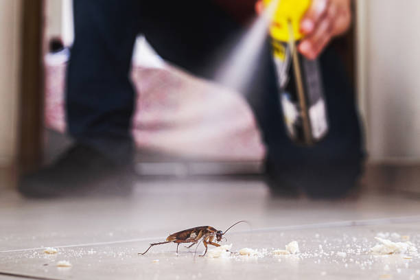Best Pest Inspection Near Me  in Sidney, IL