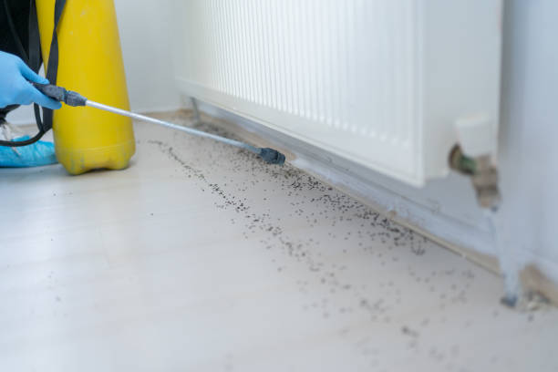 Best Wildlife Control Services  in Sidney, IL