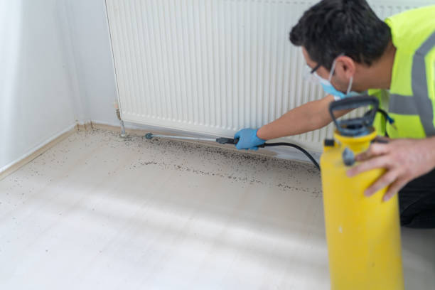 Best Local Pest Control Services  in Sidney, IL