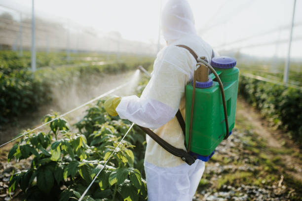 Best Wasp Removal Services  in Sidney, IL